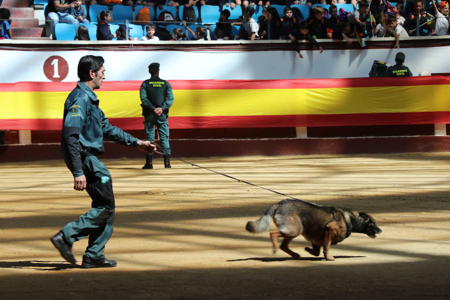 Fotos: Exhibición de la Guardia Civil en León