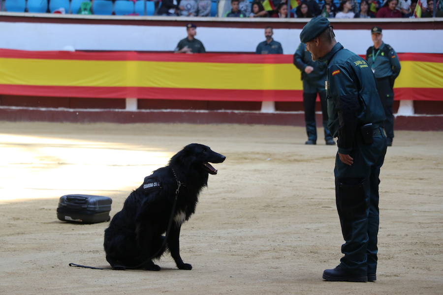 Fotos: Exhibición de la Guardia Civil en León