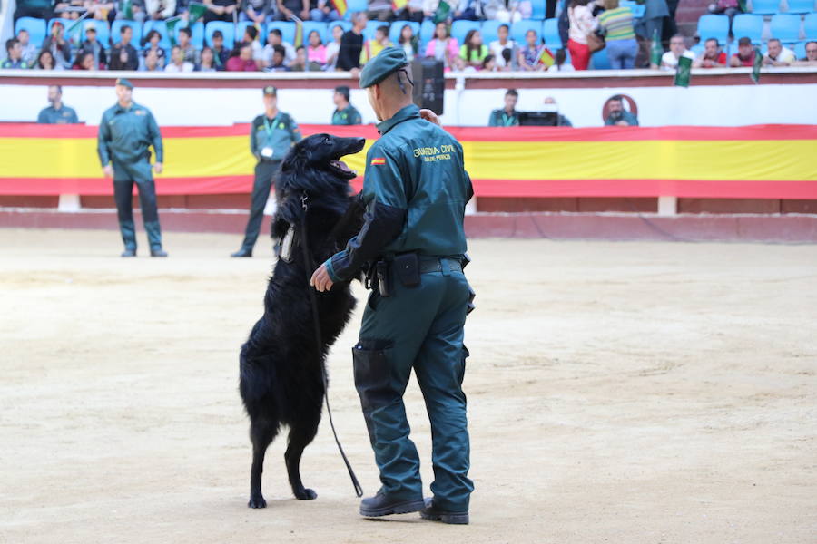 Fotos: Exhibición de la Guardia Civil en León