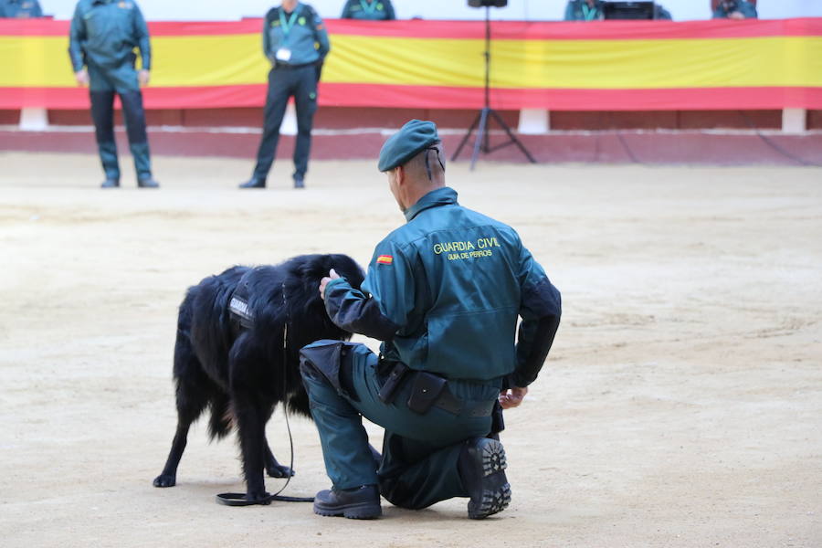 Fotos: Exhibición de la Guardia Civil en León