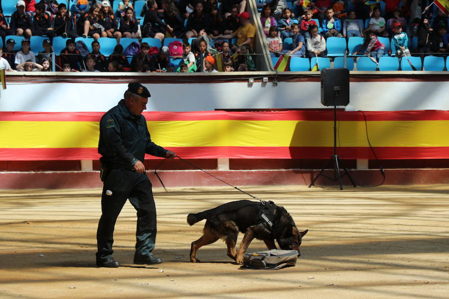 Fotos: Exhibición de la Guardia Civil en León