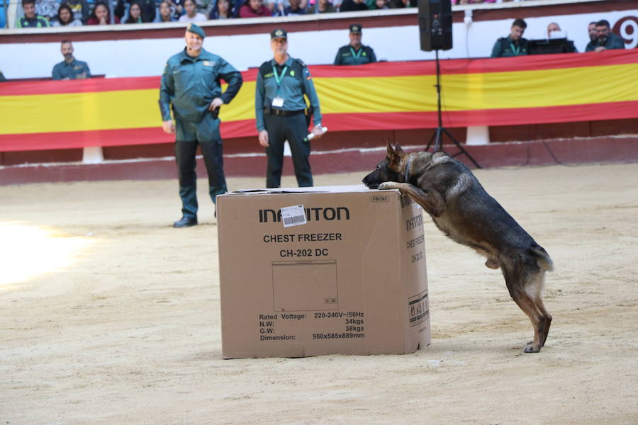 Fotos: Exhibición de la Guardia Civil en León