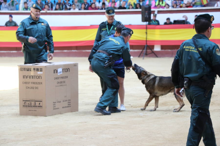 Fotos: Exhibición de la Guardia Civil en León