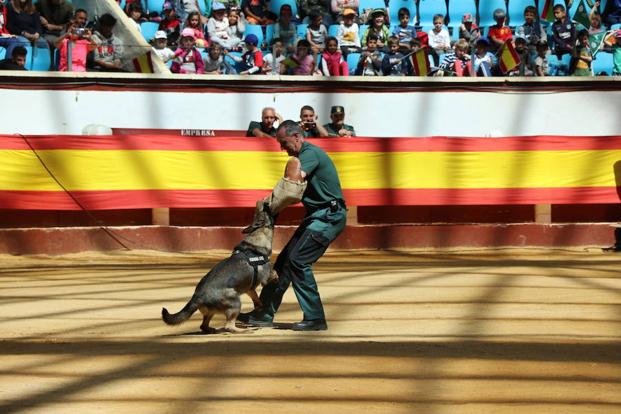 Fotos: Exhibición de la Guardia Civil en León