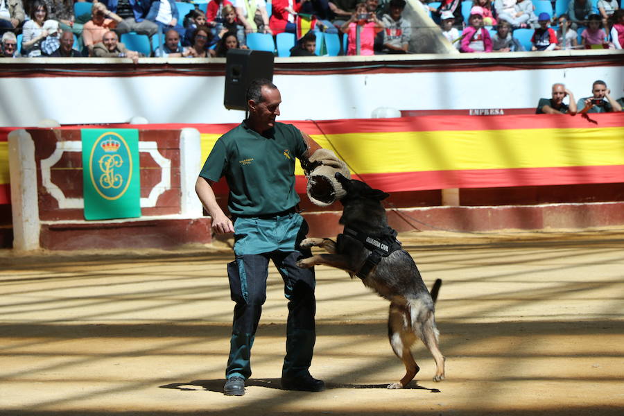 Fotos: Exhibición de la Guardia Civil en León