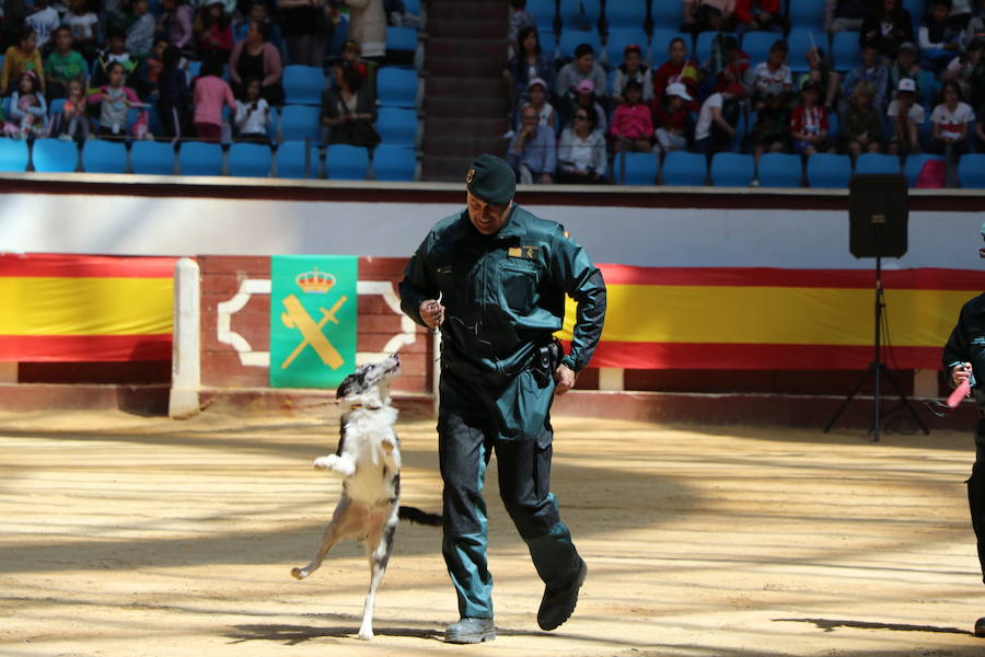 Fotos: Exhibición de la Guardia Civil en León