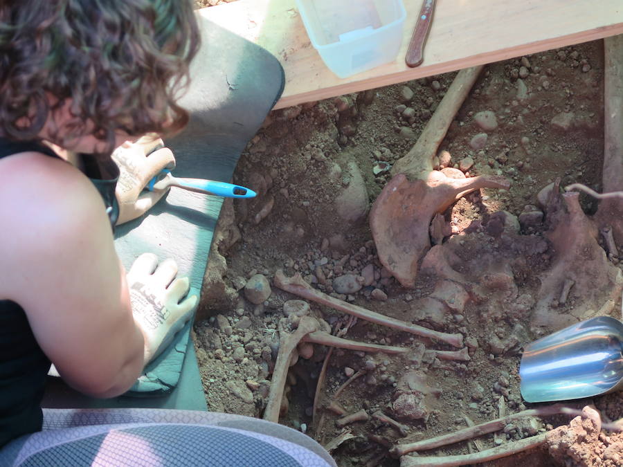 El Cementerio Civil de León podría ser el lugar donde descansan los restos de esta represaliada del franquismo, en una labor en la que se vuelca la ARMH con ayuda de un sindicato noruego