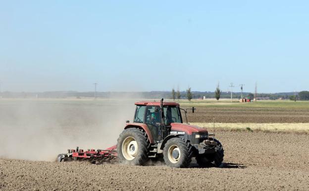 Un tractor preparaba la tierra el pasado miércoles en la comarca abulense de la Moraña.