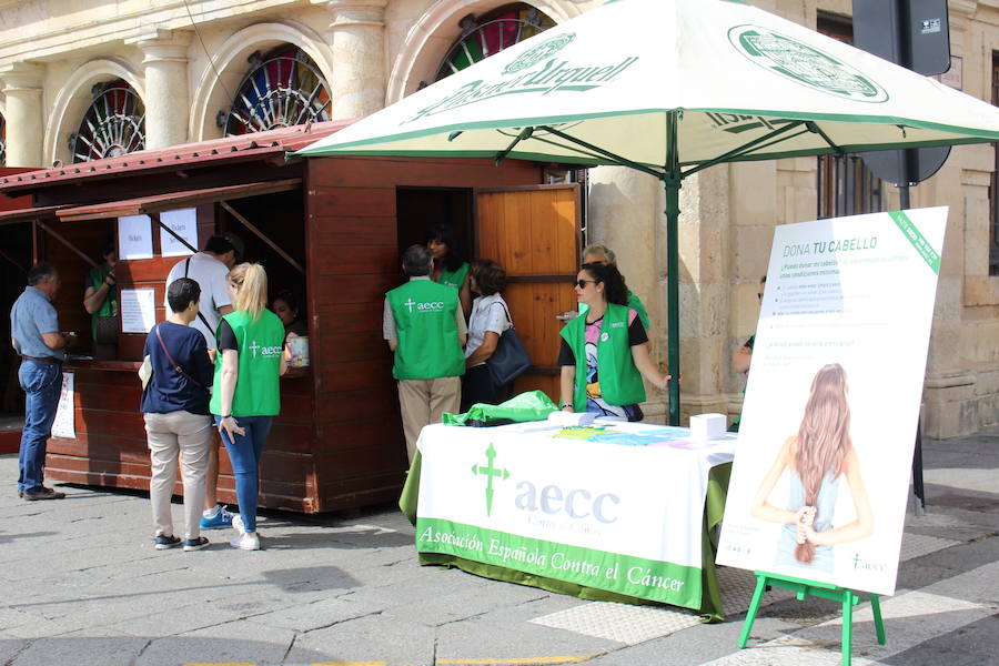 La céntrica plaza de San Marcelo se ha convertido en la jornada del domingo en un improvisado salón de belleza, en el que peluqueros, barberos, tatuadores, maquilladores y masajistas se han puesto a trabajar bajo la iniciativa 'León te corta' promovida por Víctor Valín en favor de la AECC