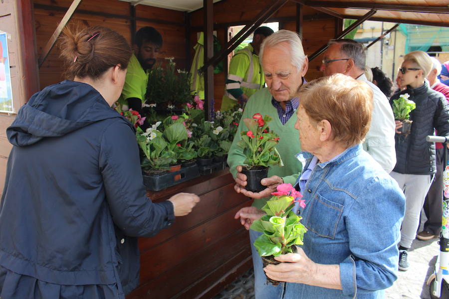 Fotos: Flores, por un planeta mejor