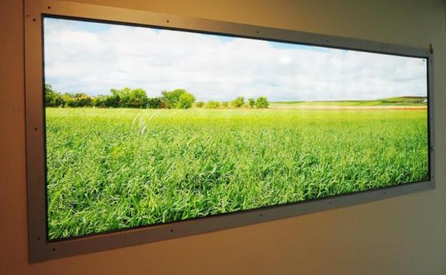 Un campo de cereal de la provincia de Valladolid y un acantilado gallego son las imágenes escogidas para los dos boxes de la REA del Clínico.