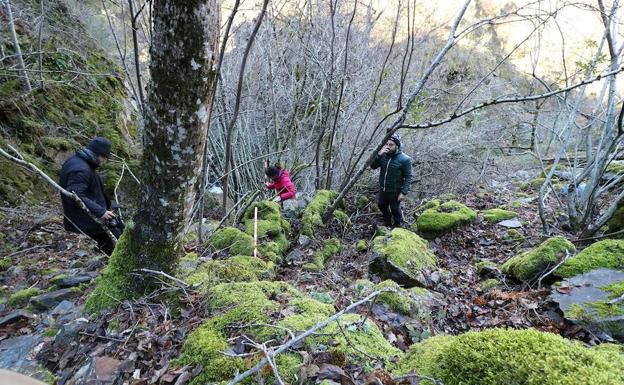 Trabajos arqueológicos en la Ciudad de la Selva