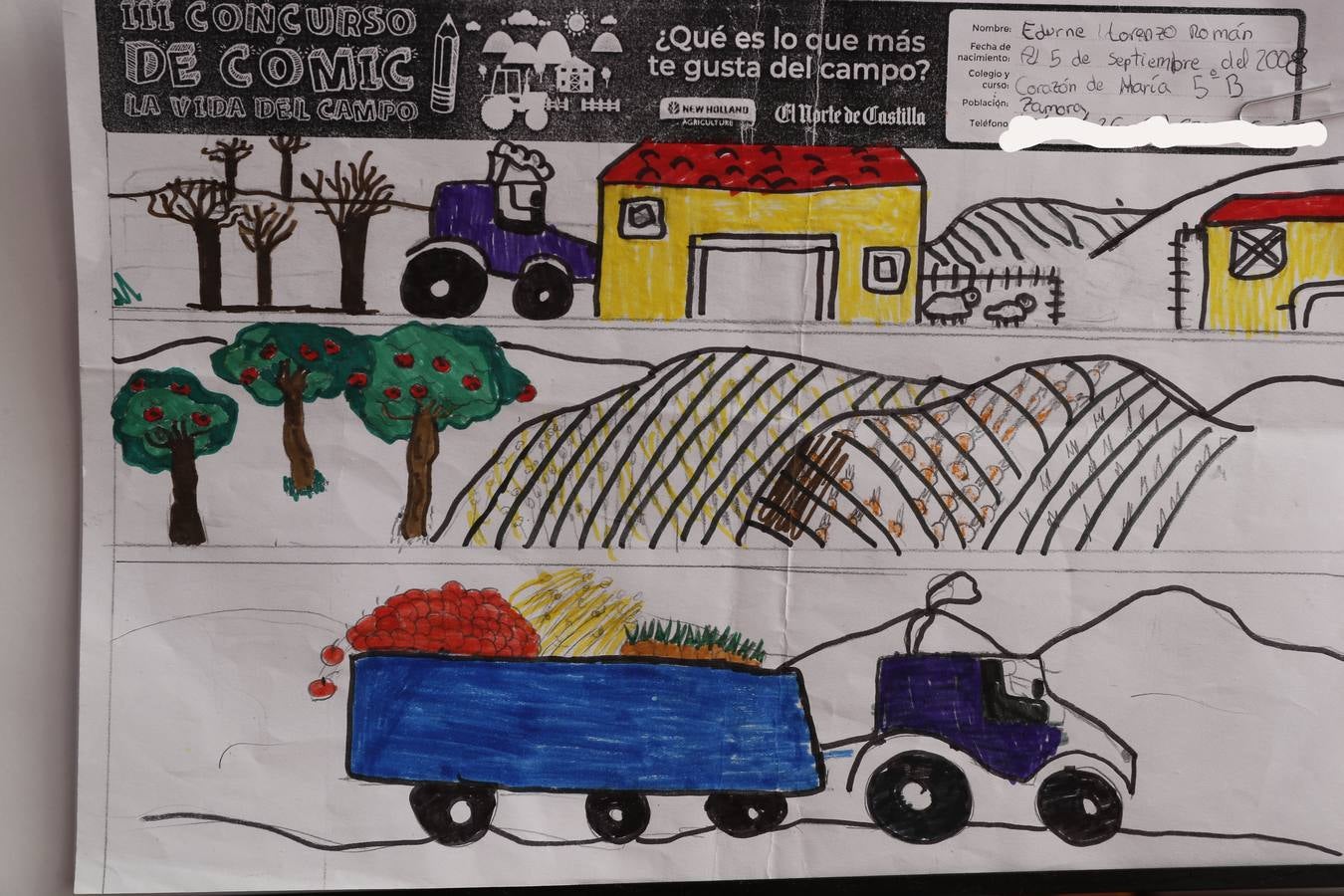 Fotos: Trabajos de 5º de Primaria en la modalidad de cómic del III Concurso de Dibujo y Cómic &#039;La vida del campo