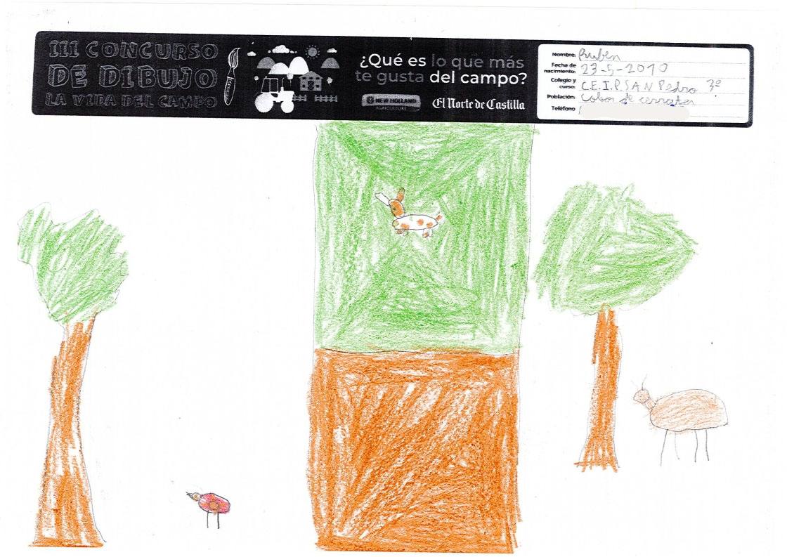 Fotos: Trabajos de 3º de Primaria en la modalidad de dibujo del III Concurso de Dibujo y Cómic &#039;La vida del campo&#039;