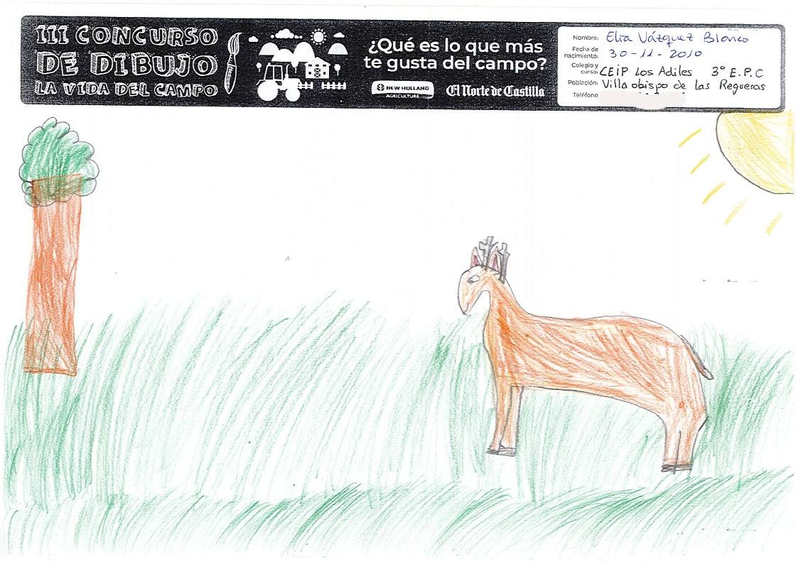 Fotos: Trabajos de 3º de Primaria en la modalidad de dibujo del III Concurso de Dibujo y Cómic &#039;La vida del campo&#039;