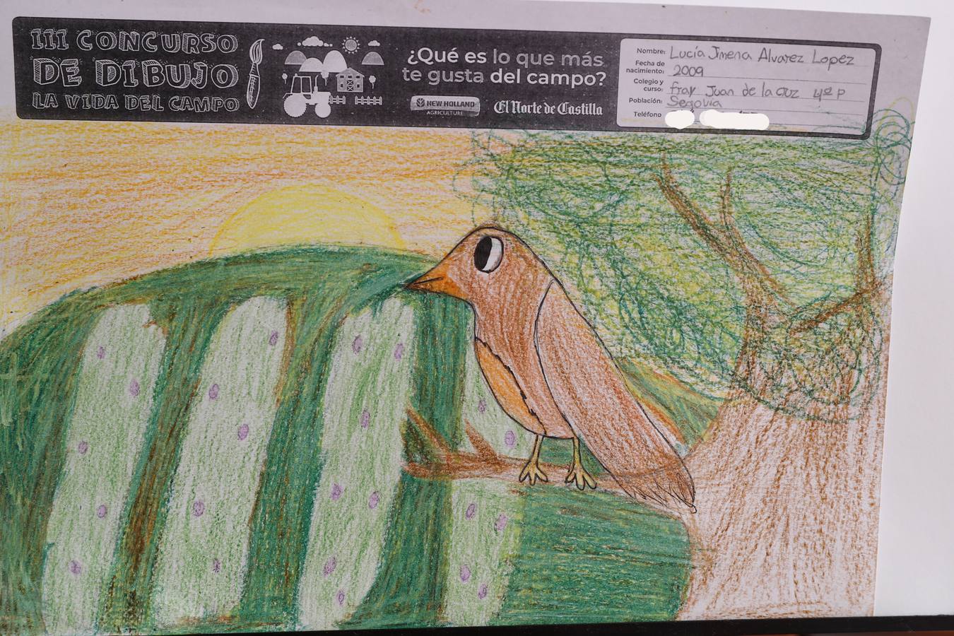 Fotos: Trabajos de 4º de Primaria en la modalidad de dibujo del III Concurso de Dibujo y Cómic &#039;La vida del campo&#039;