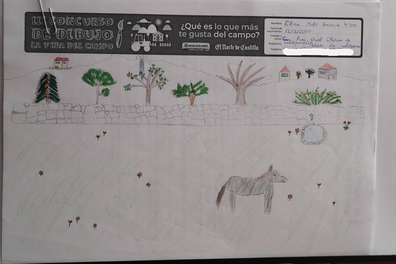 Fotos: Trabajos de 4º de Primaria en la modalidad de dibujo del III Concurso de Dibujo y Cómic &#039;La vida del campo&#039;