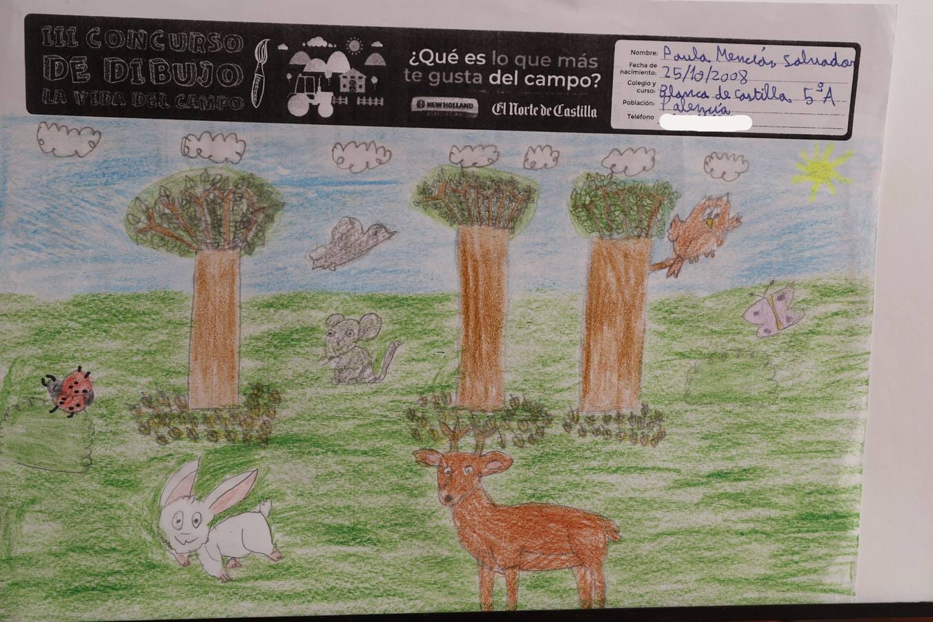 Fotos: Trabajos de 5º de Primaria en la modalidad de dibujo del III Concurso de Dibujo y Cómic &#039;La vida del campo&#039;