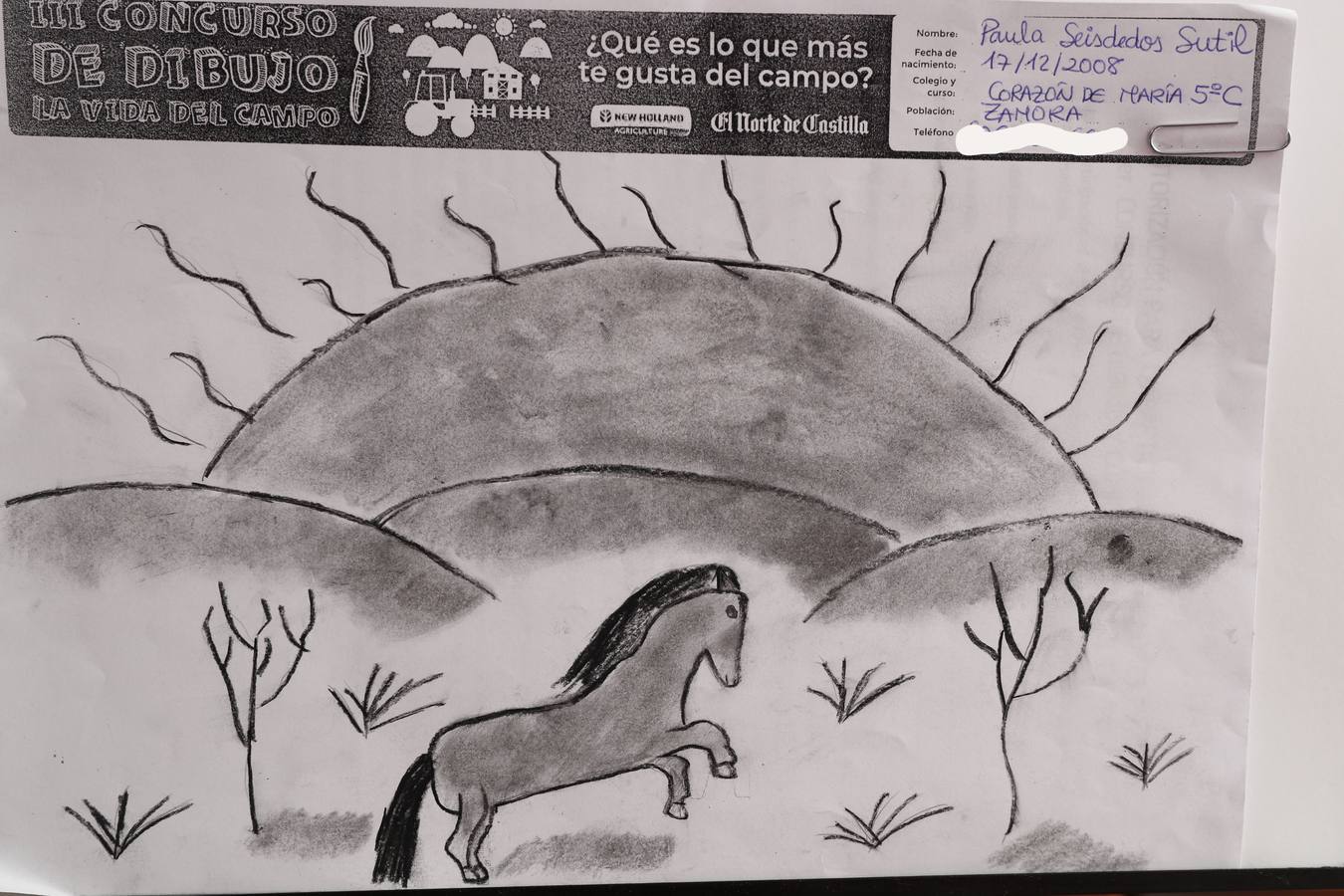 Fotos: Trabajos de 5º de Primaria en la modalidad de dibujo del III Concurso de Dibujo y Cómic &#039;La vida del campo&#039;