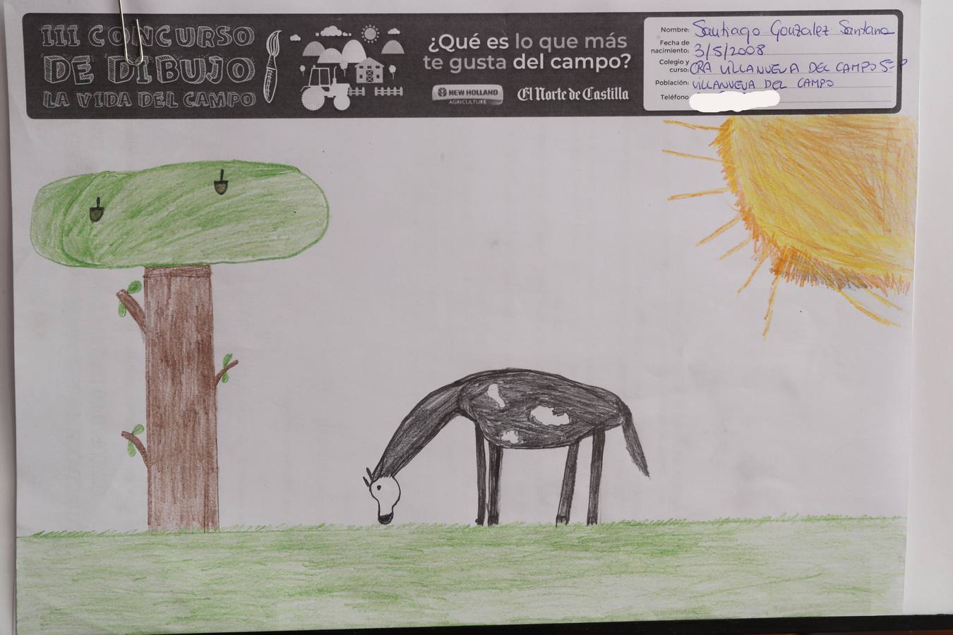 Fotos: Trabajos de 5º de Primaria en la modalidad de dibujo del III Concurso de Dibujo y Cómic &#039;La vida del campo&#039;