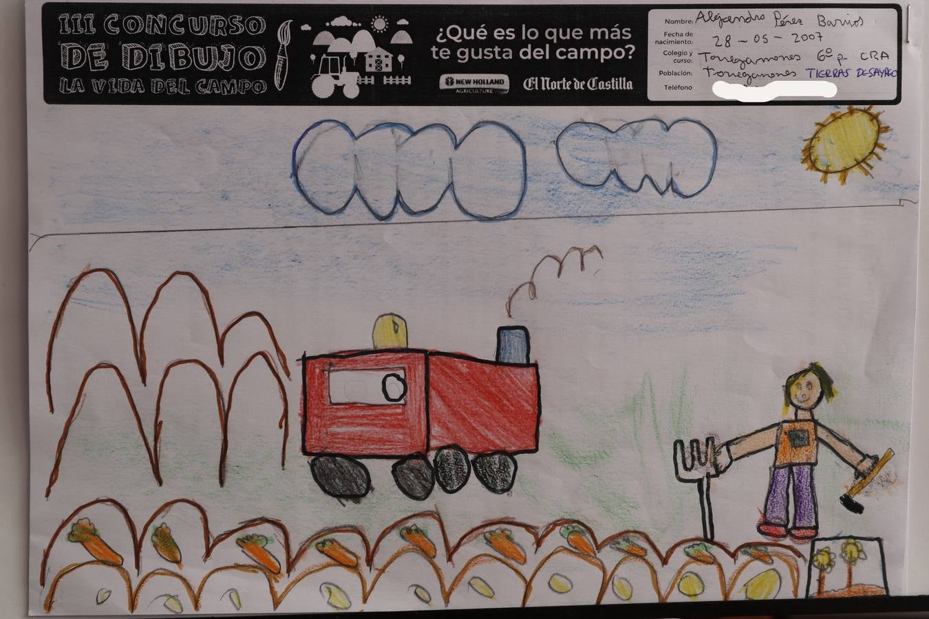 Fotos: Trabajos de 6º de Primaria en la modalidad de dibujo del III Concurso de Dibujo y Cómic &#039;La vida del campo&#039;