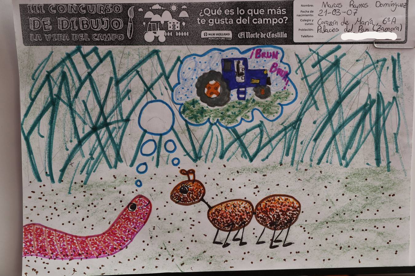 Fotos: Trabajos de 6º de Primaria en la modalidad de dibujo del III Concurso de Dibujo y Cómic &#039;La vida del campo&#039;