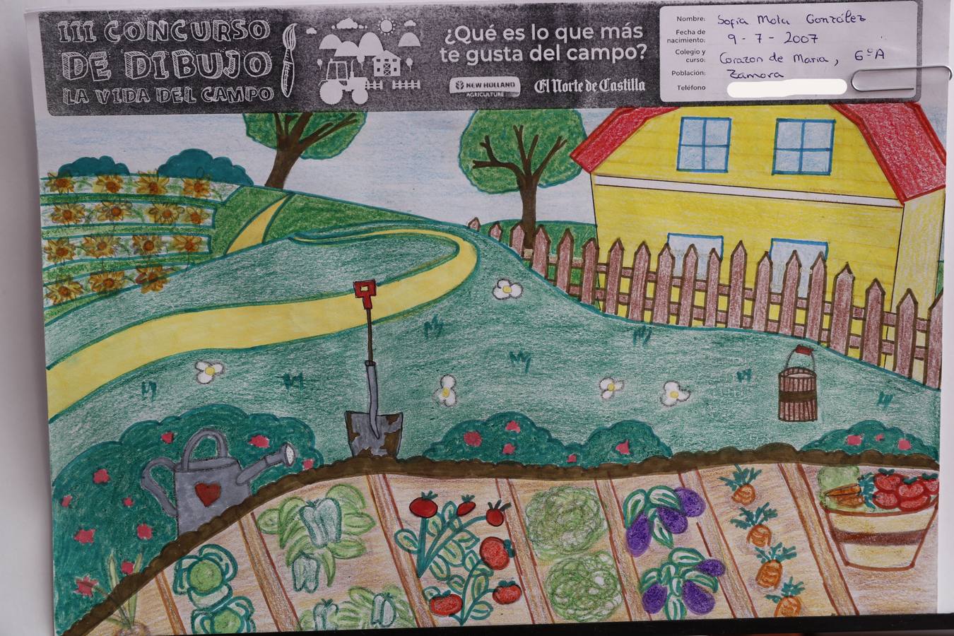 Fotos: Trabajos de 6º de Primaria en la modalidad de dibujo del III Concurso de Dibujo y Cómic &#039;La vida del campo&#039;