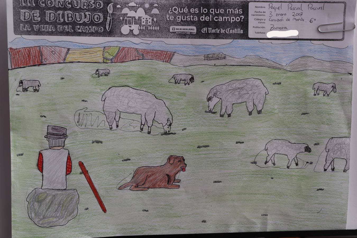 Fotos: Trabajos de 6º de Primaria en la modalidad de dibujo del III Concurso de Dibujo y Cómic &#039;La vida del campo&#039;