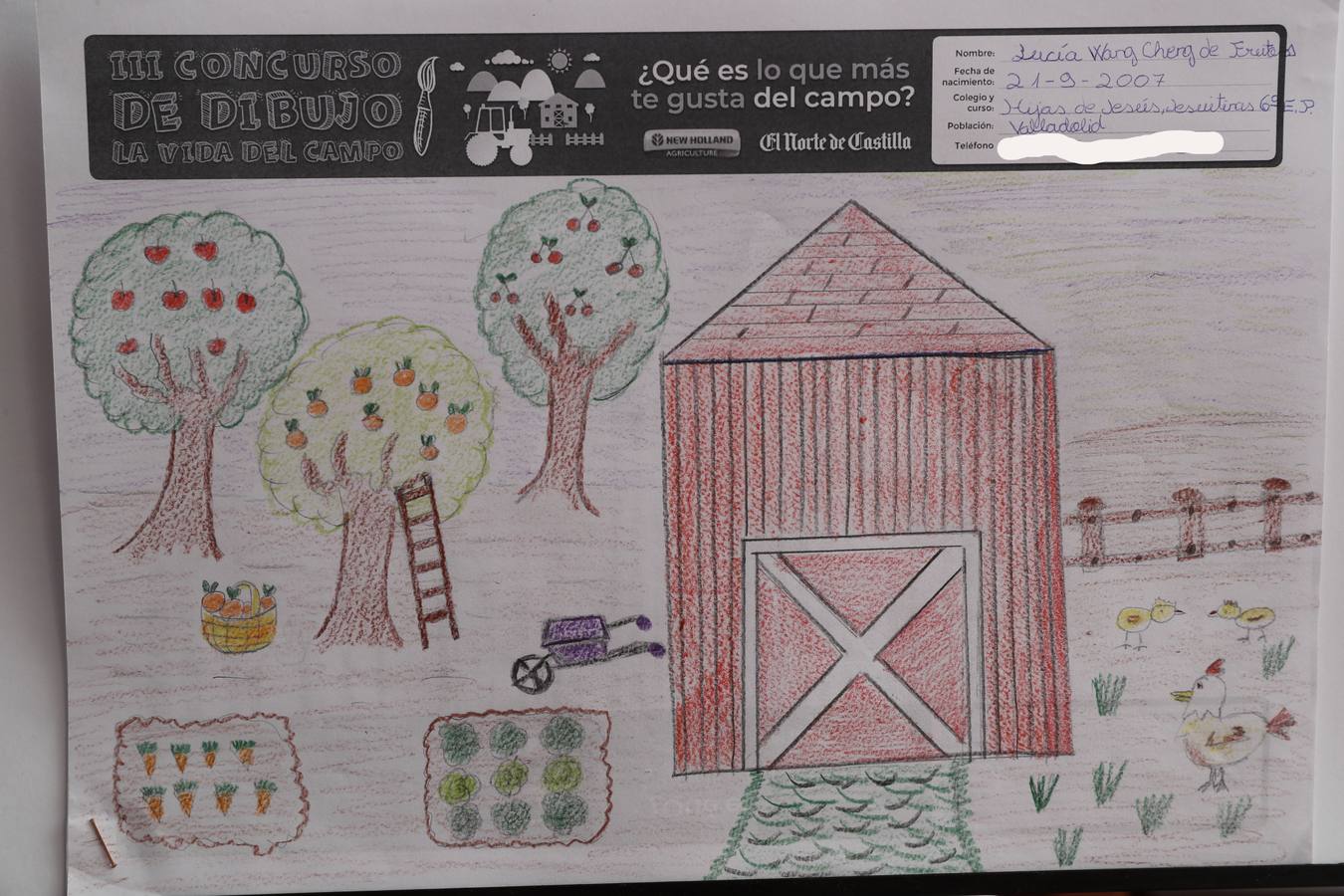 Fotos: Trabajos de 6º de Primaria en la modalidad de dibujo del III Concurso de Dibujo y Cómic &#039;La vida del campo&#039;