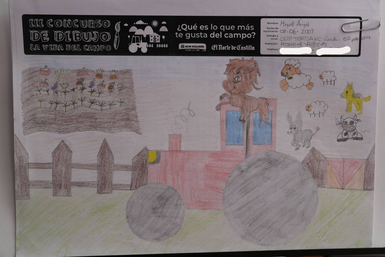 Fotos: Trabajos de 6º de Primaria en la modalidad de dibujo del III Concurso de Dibujo y Cómic &#039;La vida del campo&#039;