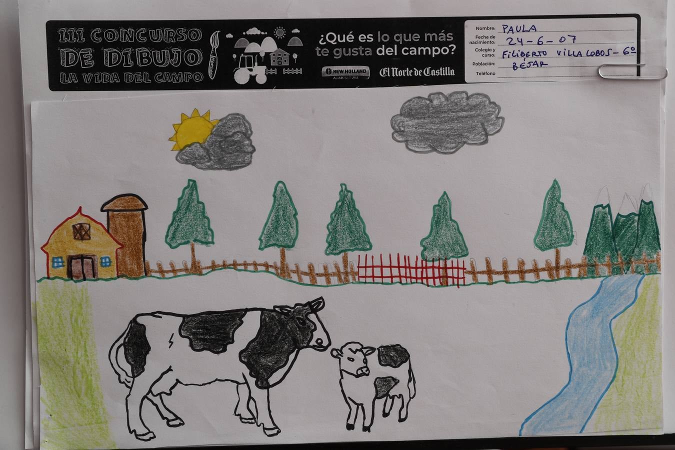 Fotos: Trabajos de 6º de Primaria en la modalidad de dibujo del III Concurso de Dibujo y Cómic &#039;La vida del campo&#039;