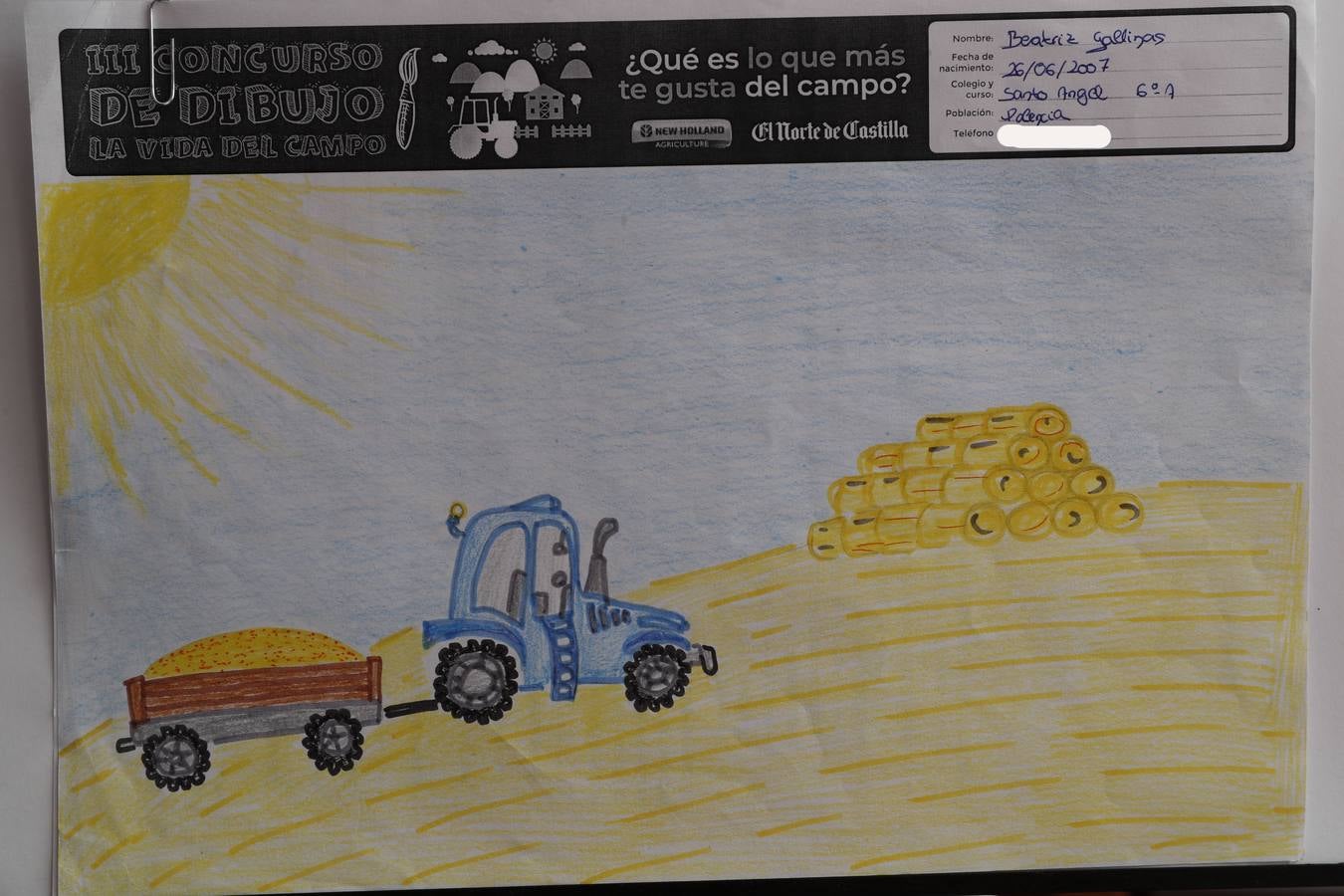 Fotos: Trabajos de 6º de Primaria en la modalidad de dibujo del III Concurso de Dibujo y Cómic &#039;La vida del campo&#039;