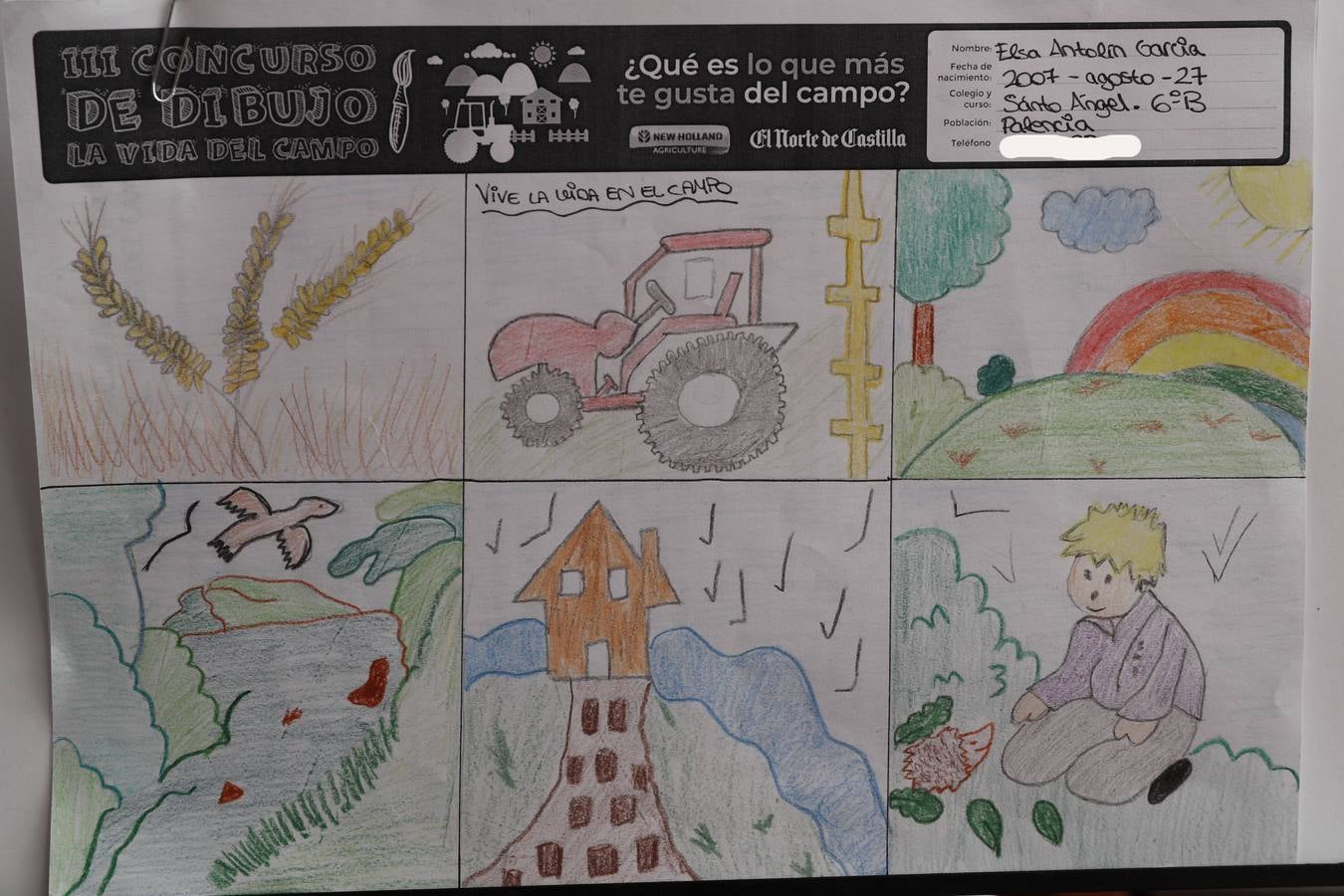 Fotos: Trabajos de 6º de Primaria en la modalidad de dibujo del III Concurso de Dibujo y Cómic &#039;La vida del campo&#039;