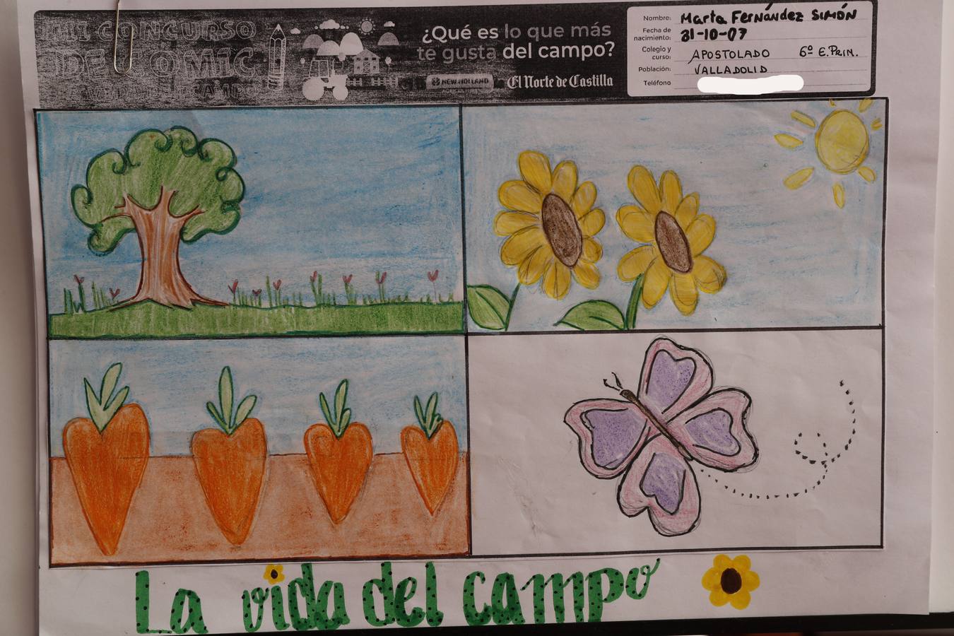 Fotos: Trabajos de 6º de Primaria en la modalidad de dibujo del III Concurso de Dibujo y Cómic &#039;La vida del campo&#039;