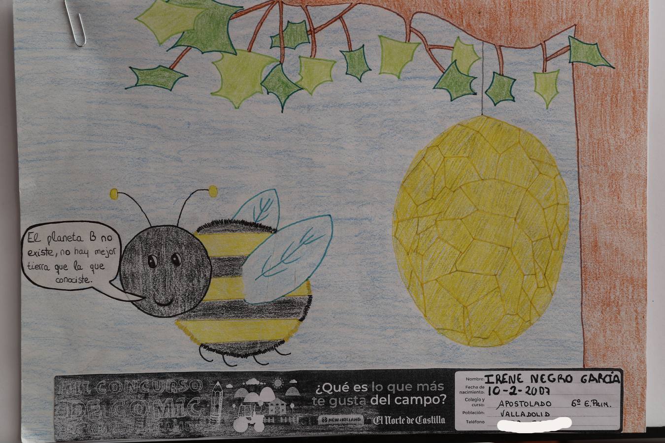 Fotos: Trabajos de 6º de Primaria en la modalidad de dibujo del III Concurso de Dibujo y Cómic &#039;La vida del campo&#039;