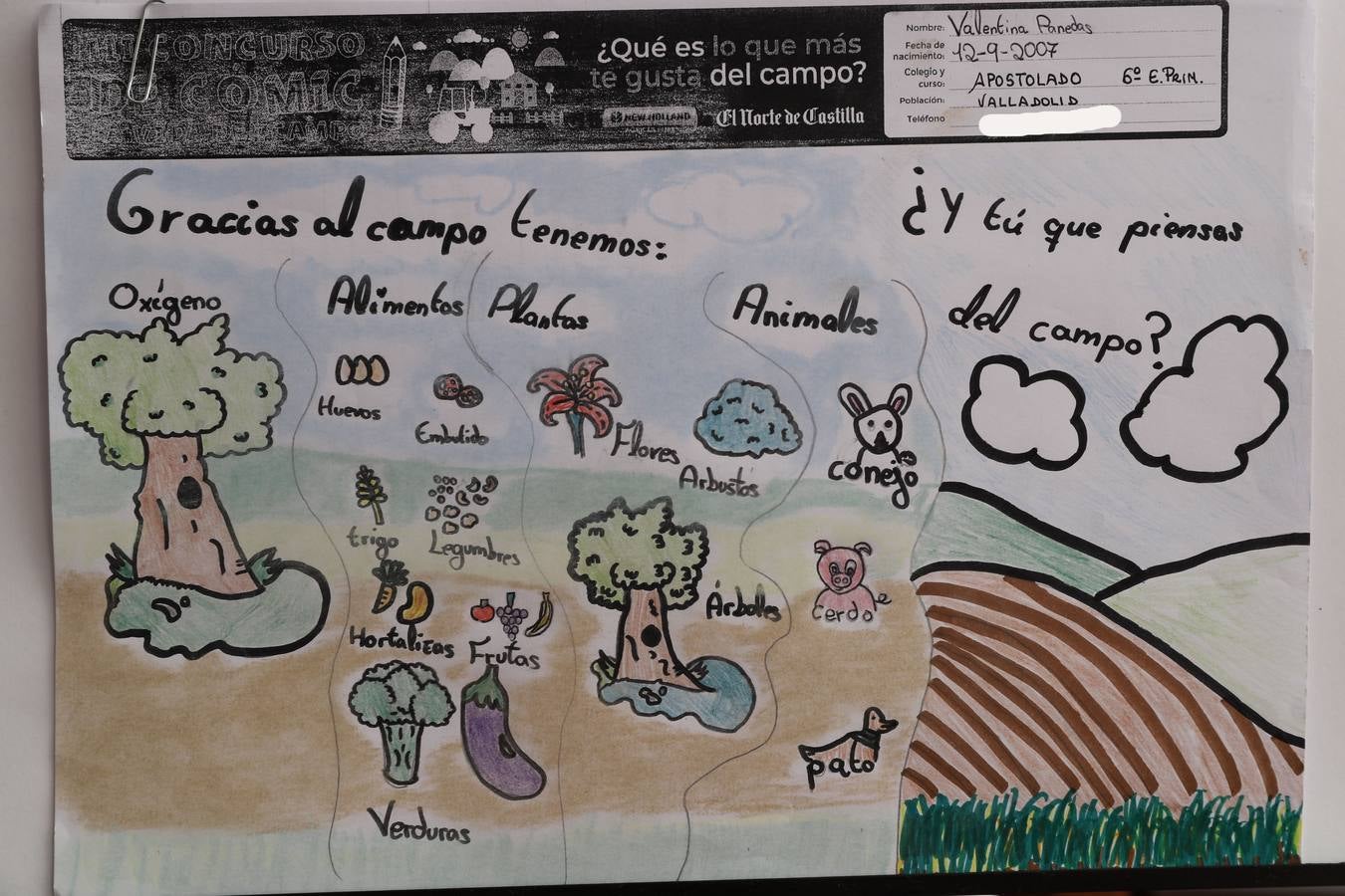 Fotos: Trabajos de 6º de Primaria en la modalidad de dibujo del III Concurso de Dibujo y Cómic &#039;La vida del campo&#039;