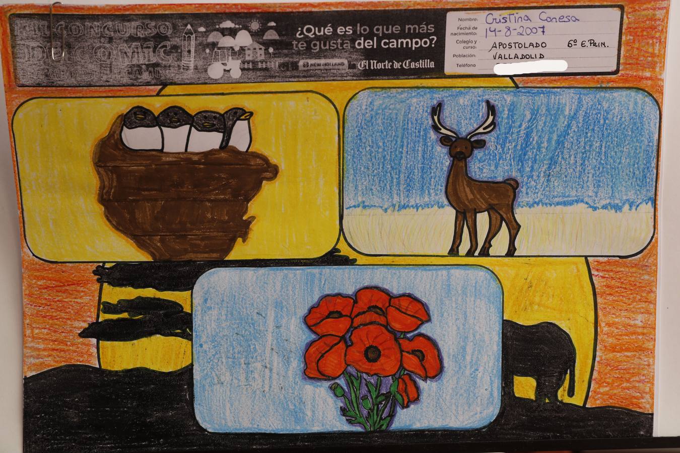 Fotos: Trabajos de 6º de Primaria en la modalidad de dibujo del III Concurso de Dibujo y Cómic &#039;La vida del campo&#039;