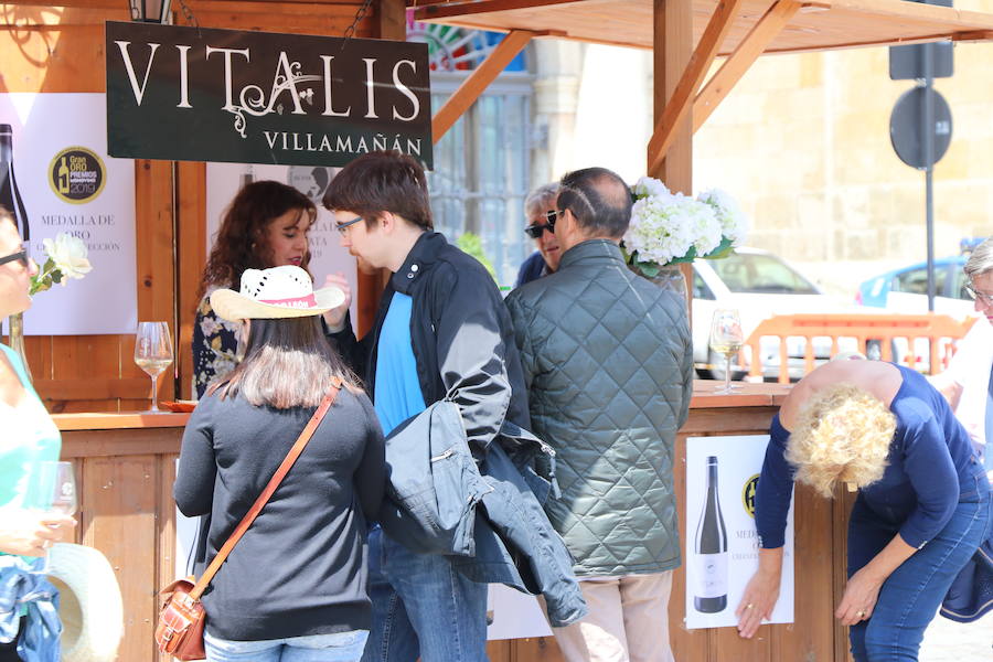 Fotos: Feria del Vino en la capital leonesa