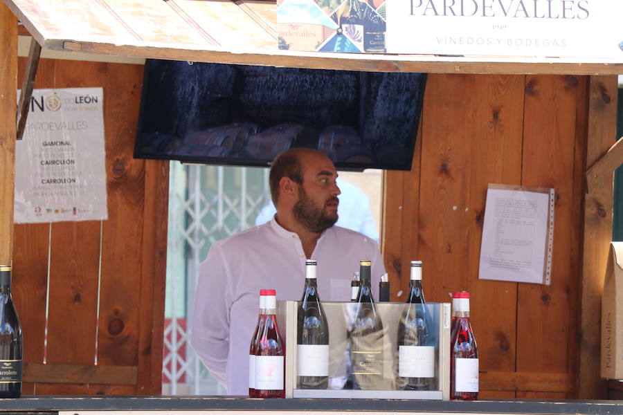 Fotos: Feria del Vino en la capital leonesa