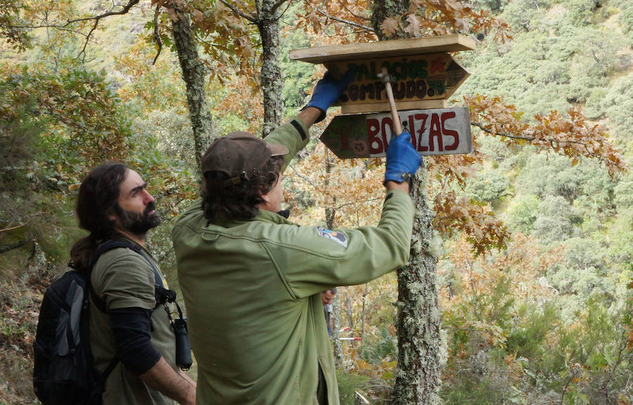 Fotos: Actividades de la asociación Tyto Alba en la reserva ornitólogica de Palacios de Compludo