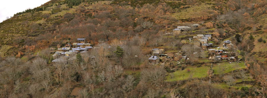 Fotos: Actividades de la asociación Tyto Alba en la reserva ornitólogica de Palacios de Compludo