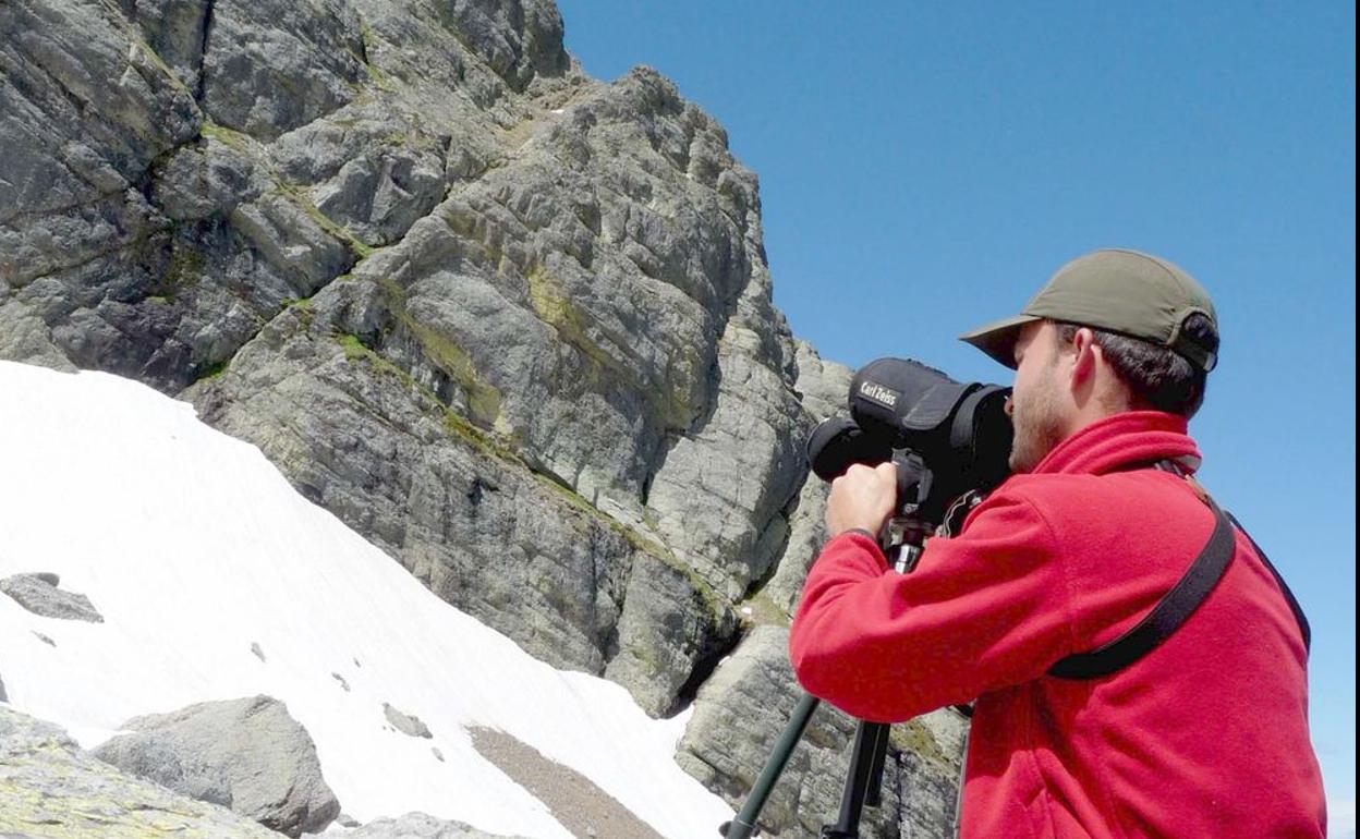 Uno de los investigadores observa con el telescopio terrestre las paredes de roca donde crece 'Primula pedemontana'.