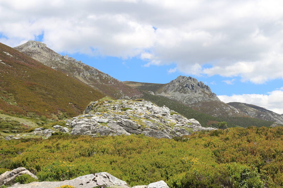 Este enclave declarado en el año 2005 reserva de la biosfera se sitúa en el norte de la provincia de León, limitando con Asturias. Cuenta con tres municipios Cármenes, Vegacervera, y Lugueros,