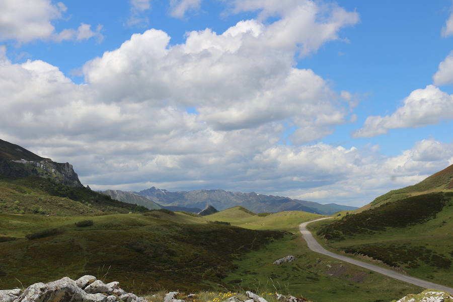 Este enclave declarado en el año 2005 reserva de la biosfera se sitúa en el norte de la provincia de León, limitando con Asturias. Cuenta con tres municipios Cármenes, Vegacervera, y Lugueros,