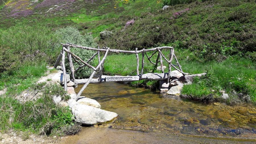 La riqueza y biodiversidad del Alto Bernesga es excepcio- nal, debido a su ubicación biogeográfica en la zona de transición entre la España mediterránea y la España atlántica, disfrutando de especies arbóreas de ambas regiones separadas por escasos metros. La Reserva de la Biosfera del Alto Bernesga fue declara- da por la UNESCO en 2005. Desde entonces, han sido numerosos los pasos que se han dado hacia la consoli- dación de la misma, basados todos ellos en programas y procesos donde la participación ciudadana es prioritaria. 