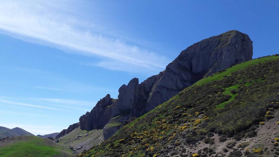 La riqueza y biodiversidad del Alto Bernesga es excepcio- nal, debido a su ubicación biogeográfica en la zona de transición entre la España mediterránea y la España atlántica, disfrutando de especies arbóreas de ambas regiones separadas por escasos metros. La Reserva de la Biosfera del Alto Bernesga fue declara- da por la UNESCO en 2005. Desde entonces, han sido numerosos los pasos que se han dado hacia la consoli- dación de la misma, basados todos ellos en programas y procesos donde la participación ciudadana es prioritaria. 