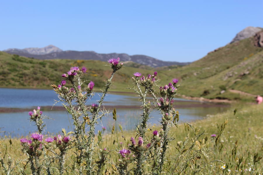 Fotos: Reserva de la biosfera de Babia, paraíso natural