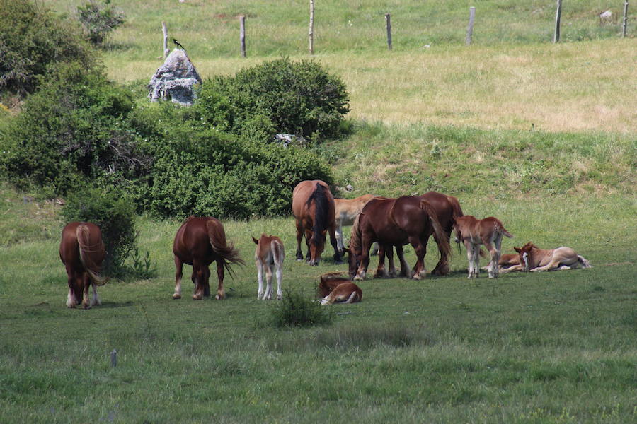 Fotos: Reserva de la biosfera de Babia, paraíso natural