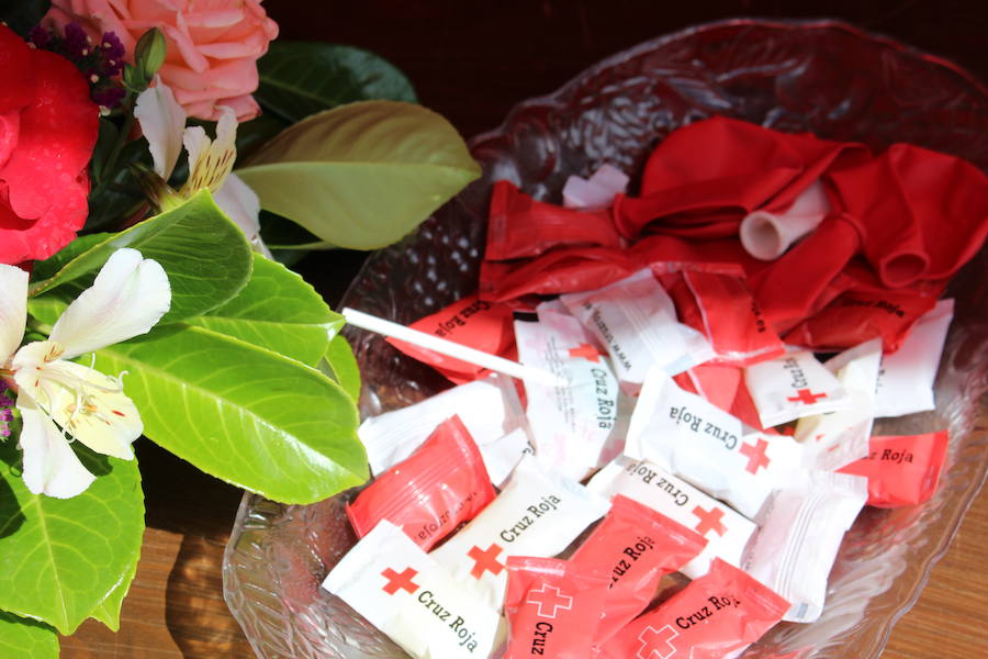 Fotos: Las banderitas de Cruz Roja inundan León