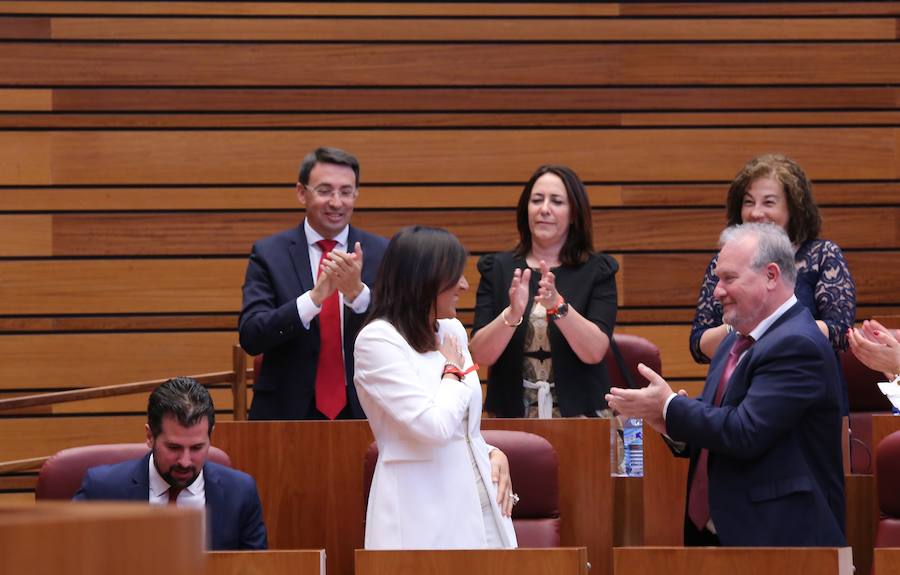 Fotos: Sesión Constitutiva de las Cortes de Castilla y León de la X legislatura